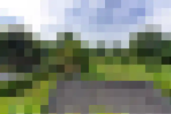 Caumermolenweg 23 Heerlen thumbnail 51