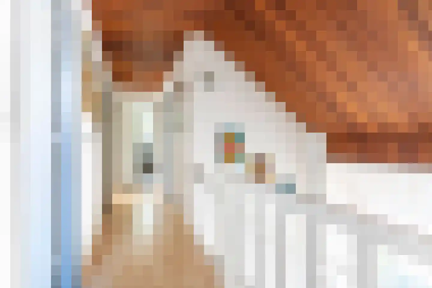 Caumerstraat 125 Kerkrade thumbnail 15