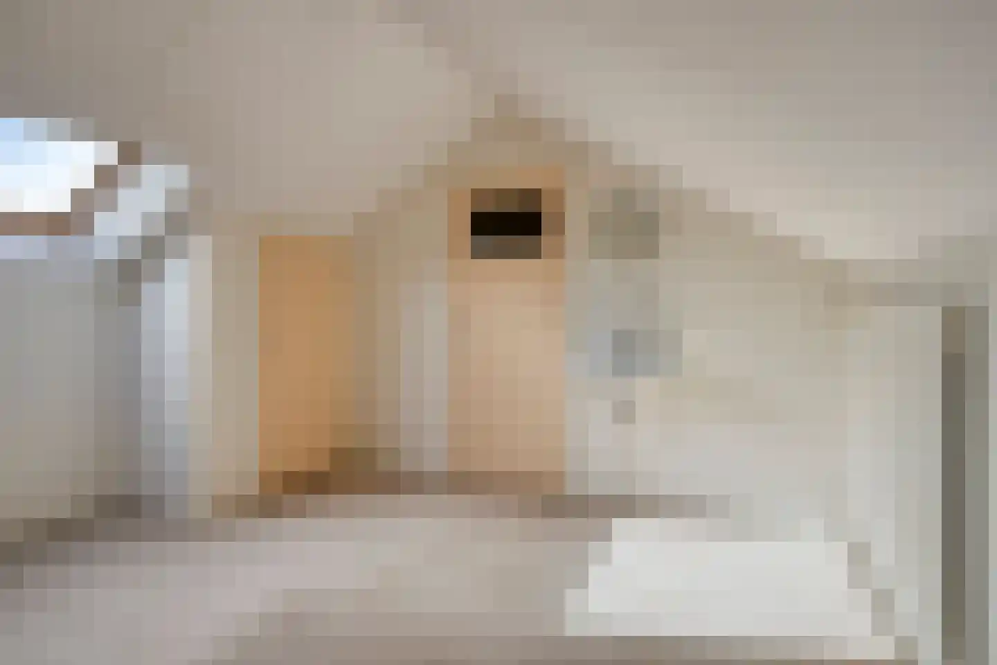 Caustraat 44 Zierikzee thumbnail 42