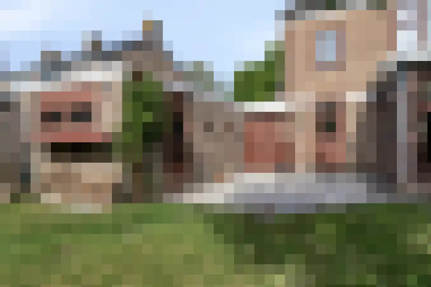 Caustraat 44 Zierikzee thumbnail 47