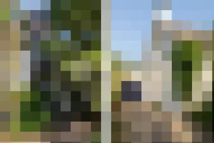 Cauwelaerseweg 3 b Ulvenhout AC thumbnail 10
