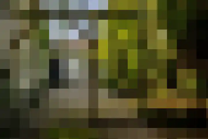 Cauwelaerseweg 3 b Ulvenhout AC thumbnail 30