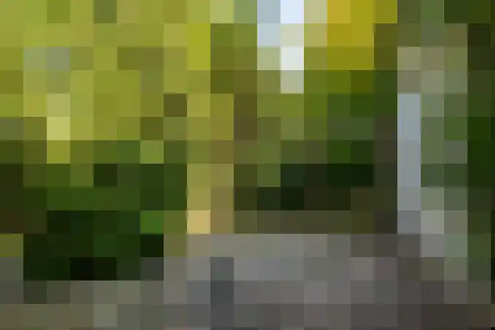 Cauwelaerseweg 3 b Ulvenhout AC thumbnail 31