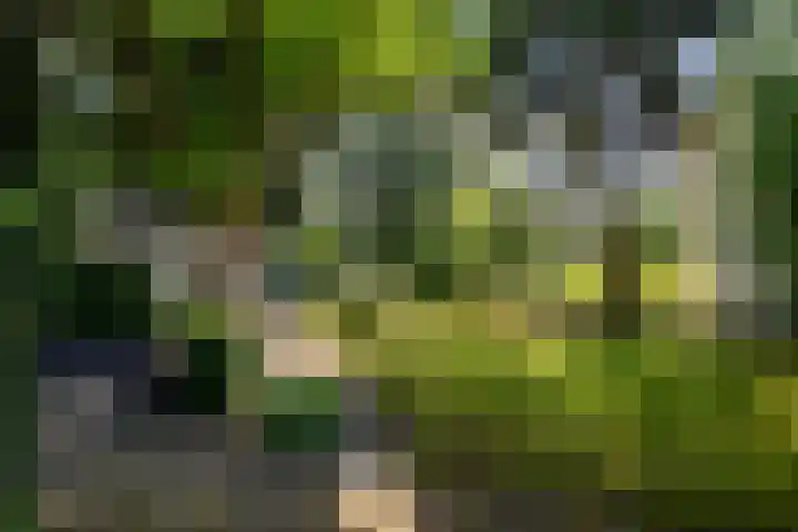 Cauwelaerseweg 3 b Ulvenhout AC thumbnail 32