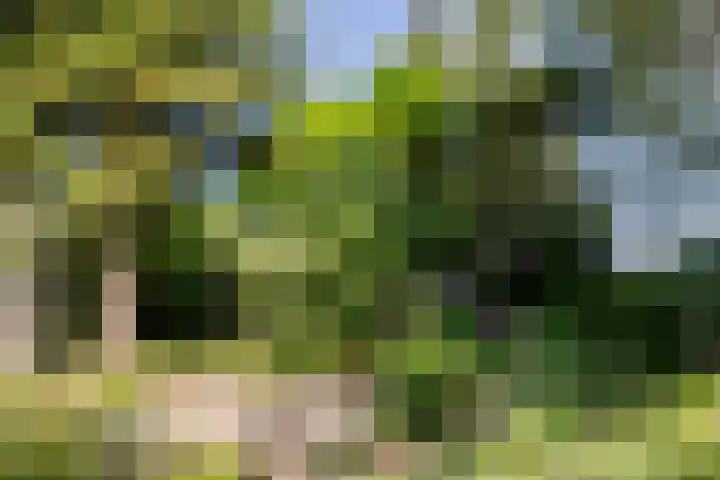 Cauwelaerseweg 3 b Ulvenhout AC thumbnail 33