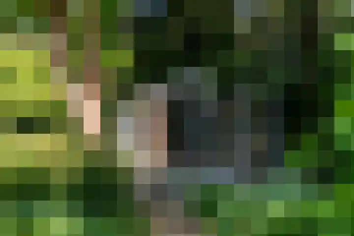 Cauwelaerseweg 3 b Ulvenhout AC thumbnail 34