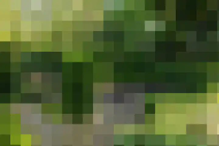 Cauwelaerseweg 3 b Ulvenhout AC thumbnail 35