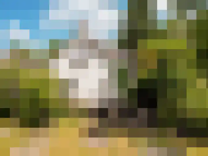 Cauwelaerseweg 3 b Ulvenhout AC thumbnail 7