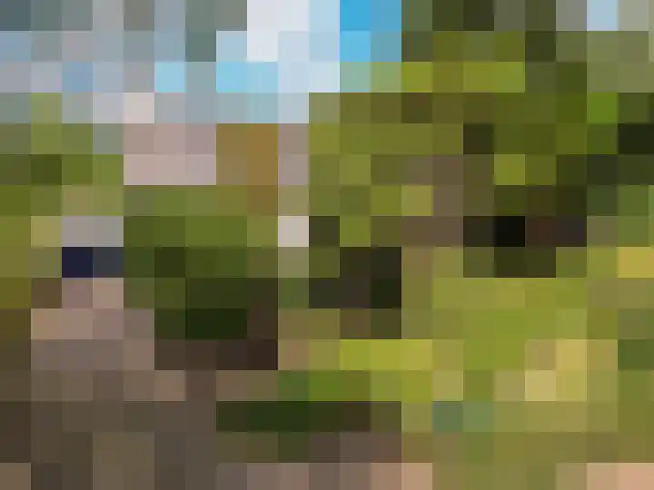 Cauwelaerseweg 3 b Ulvenhout AC thumbnail 8