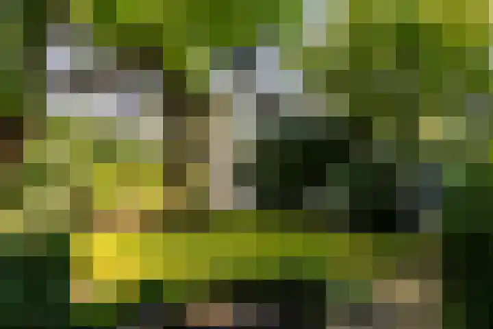 Cauwelaerseweg 3 b Ulvenhout AC thumbnail 9
