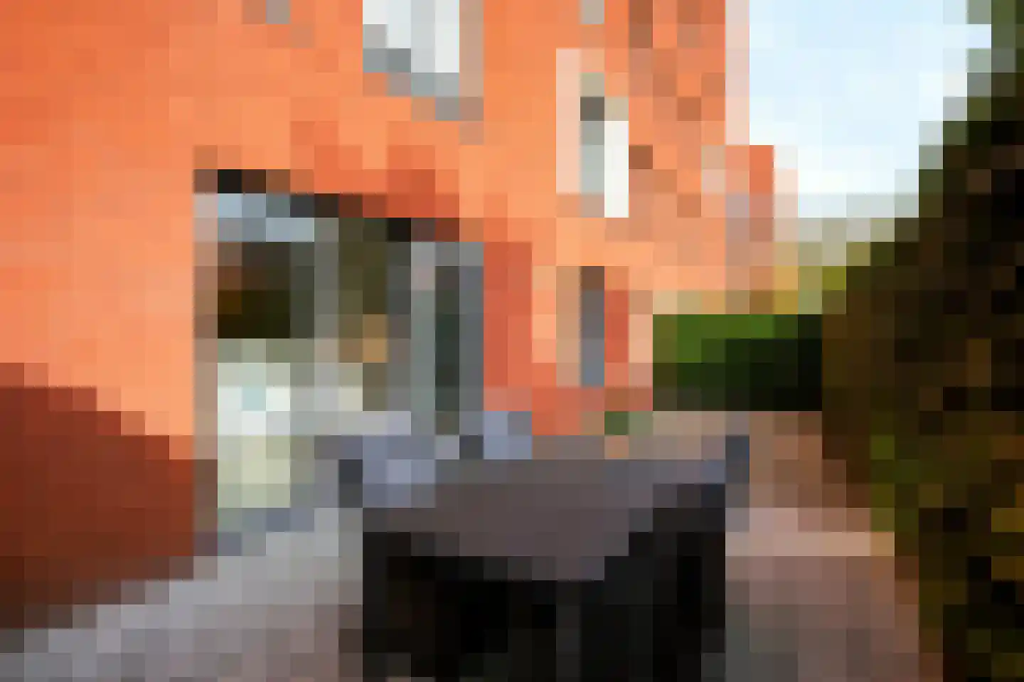 Cavaleriestraat 58 Sittard thumbnail 20