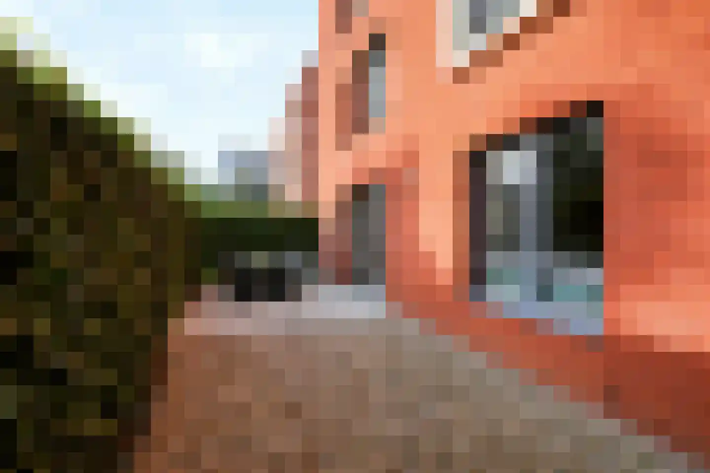 Cavaleriestraat 58 Sittard thumbnail 22