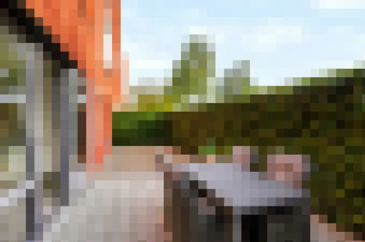 Cavaleriestraat 58 Sittard thumbnail 23