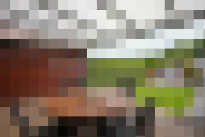 Cavaleriestraat 9 A Sittard thumbnail 32