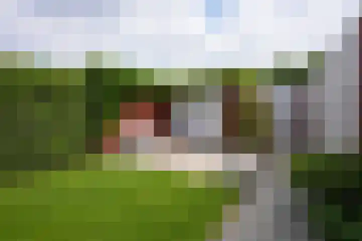 Cavaleriestraat 9 A Sittard thumbnail 35