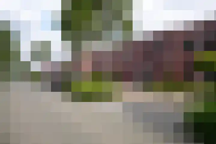 Cavaleriestraat 9 A Sittard thumbnail 44