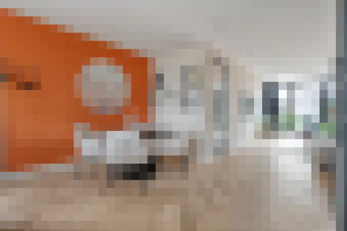 Cavaljéstraat 11 Dedemsvaart thumbnail 15