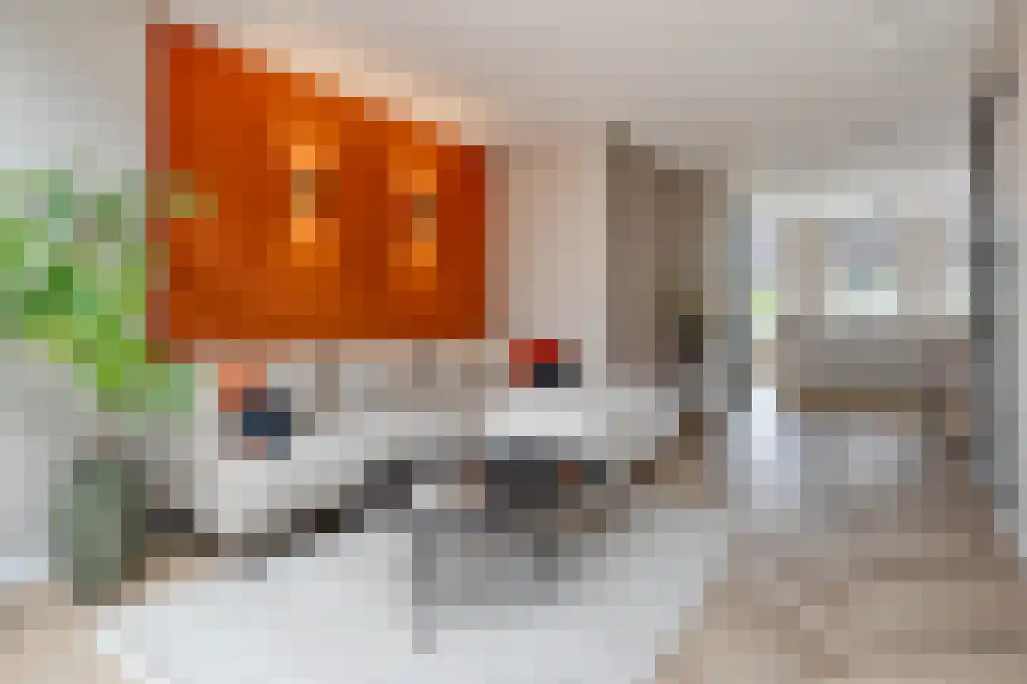 Cavaljéstraat 11 Dedemsvaart thumbnail 17