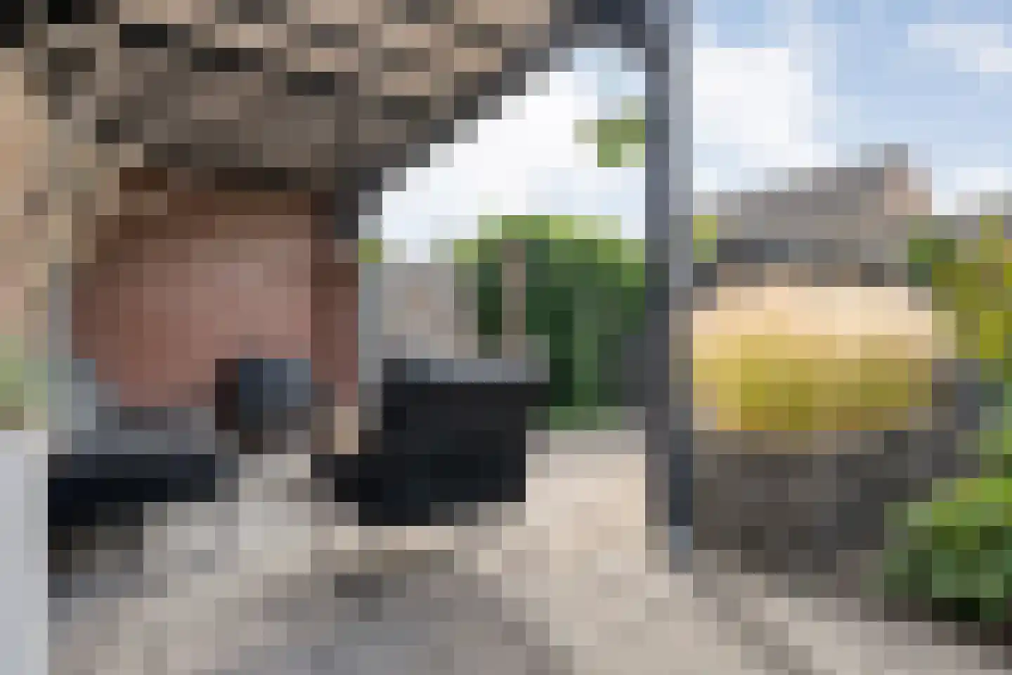 Cavaljéstraat 11 Dedemsvaart thumbnail 39