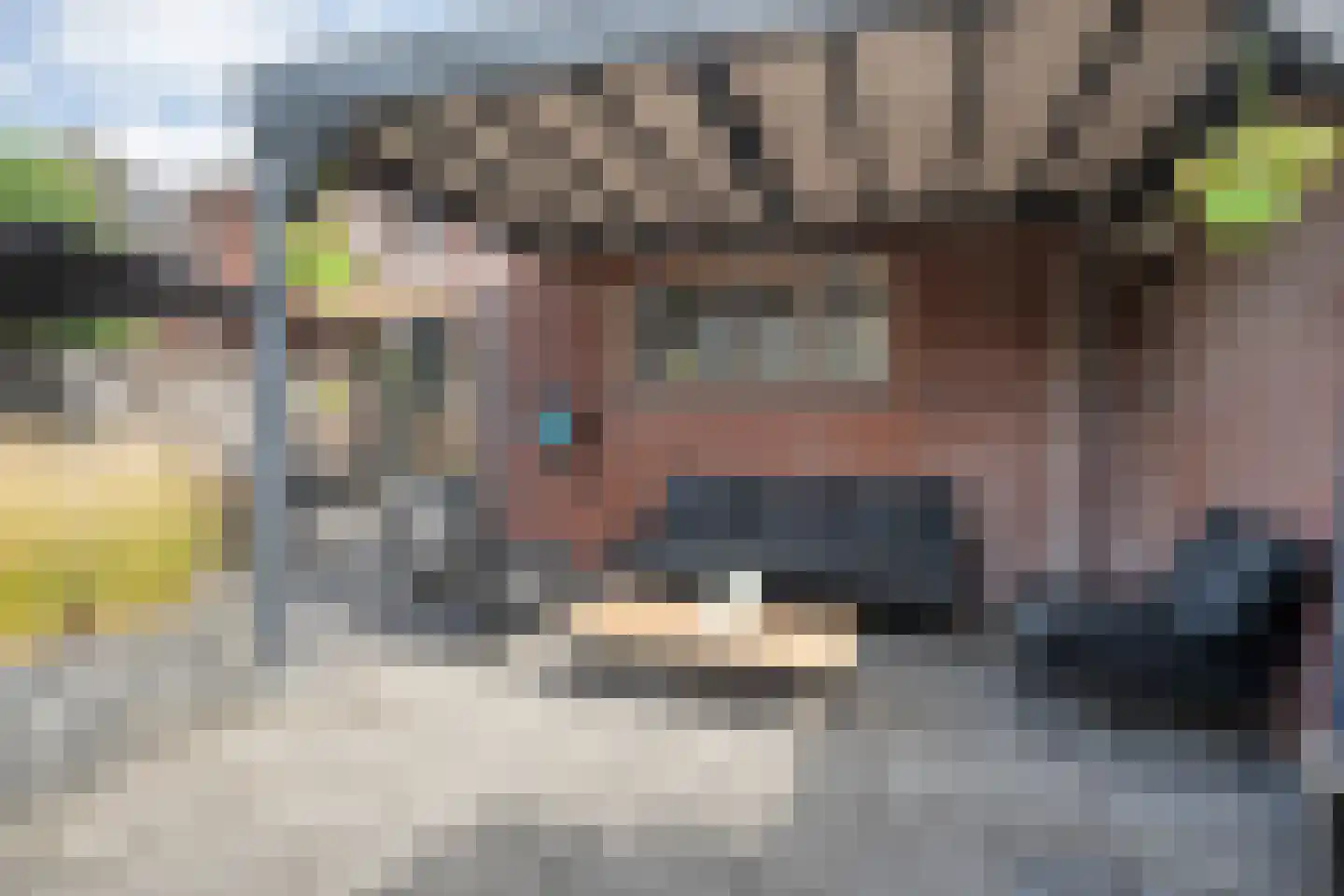 Cavaljéstraat 11 Dedemsvaart thumbnail 41