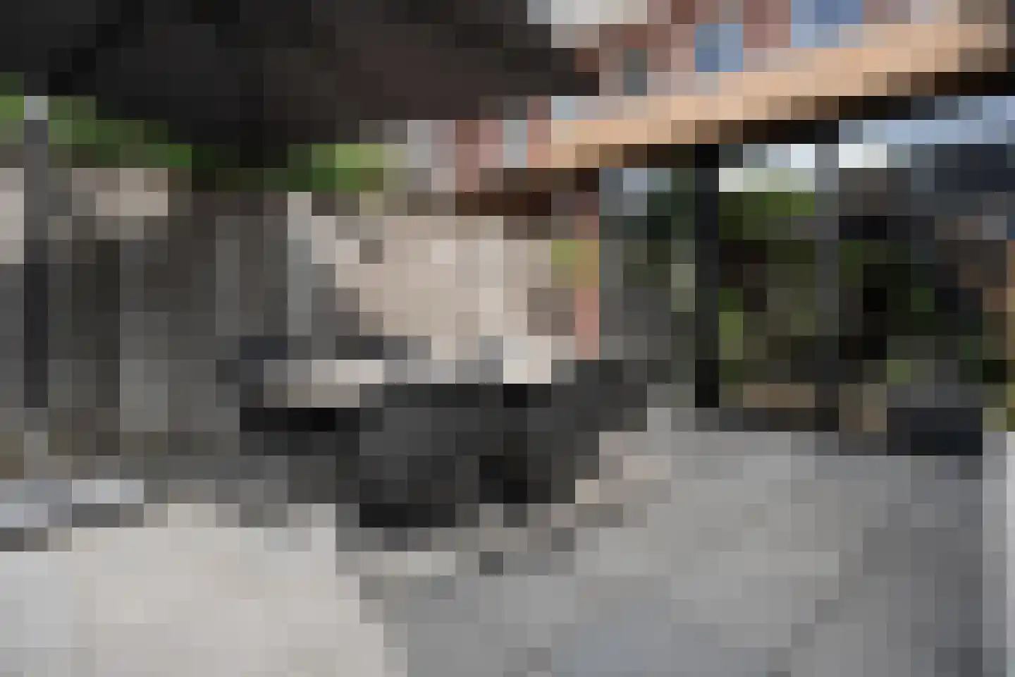 Cavaljéstraat 11 Dedemsvaart thumbnail 49