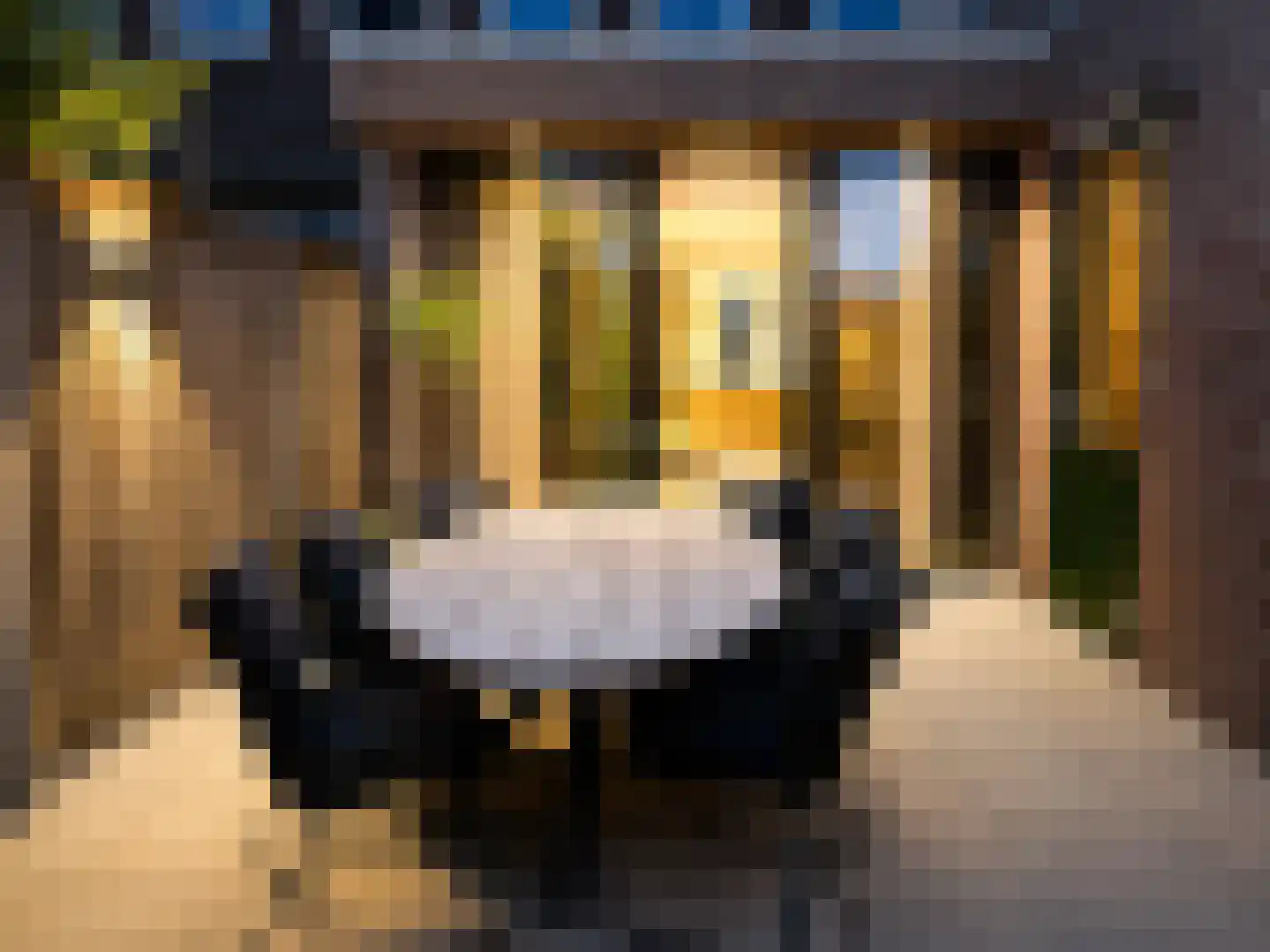Cavaljéstraat 11 Dedemsvaart thumbnail 52