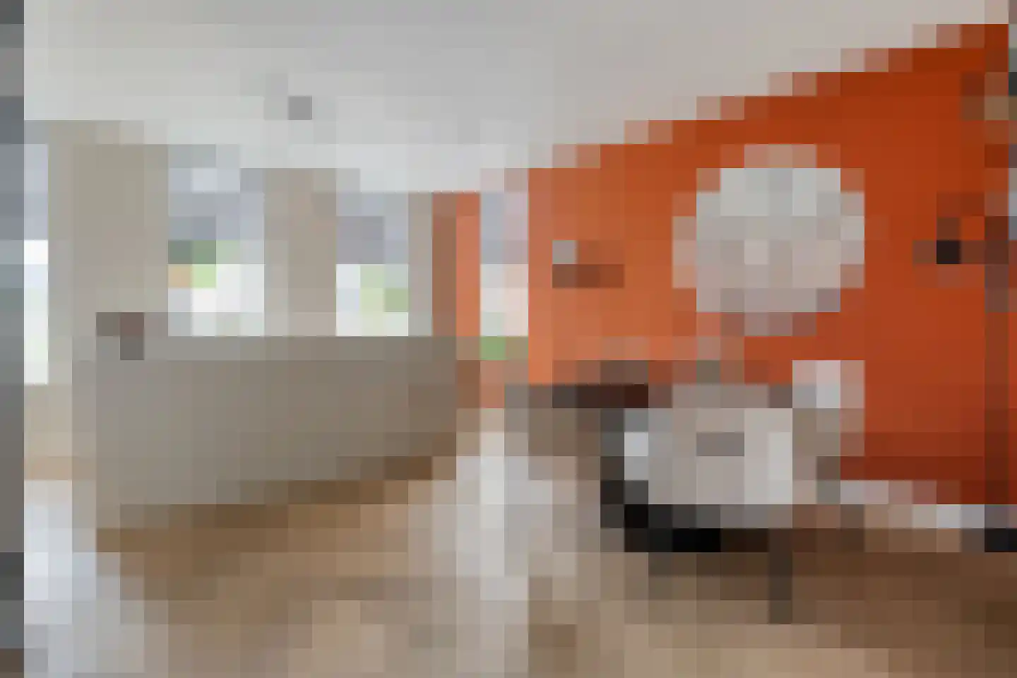 Cavaljéstraat 11 Dedemsvaart thumbnail 9