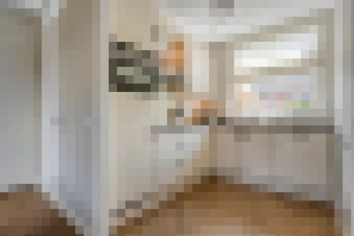 Cavaljéstraat 2 Dedemsvaart thumbnail 15