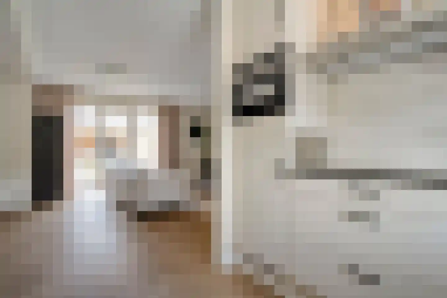 Cavaljéstraat 2 Dedemsvaart thumbnail 17