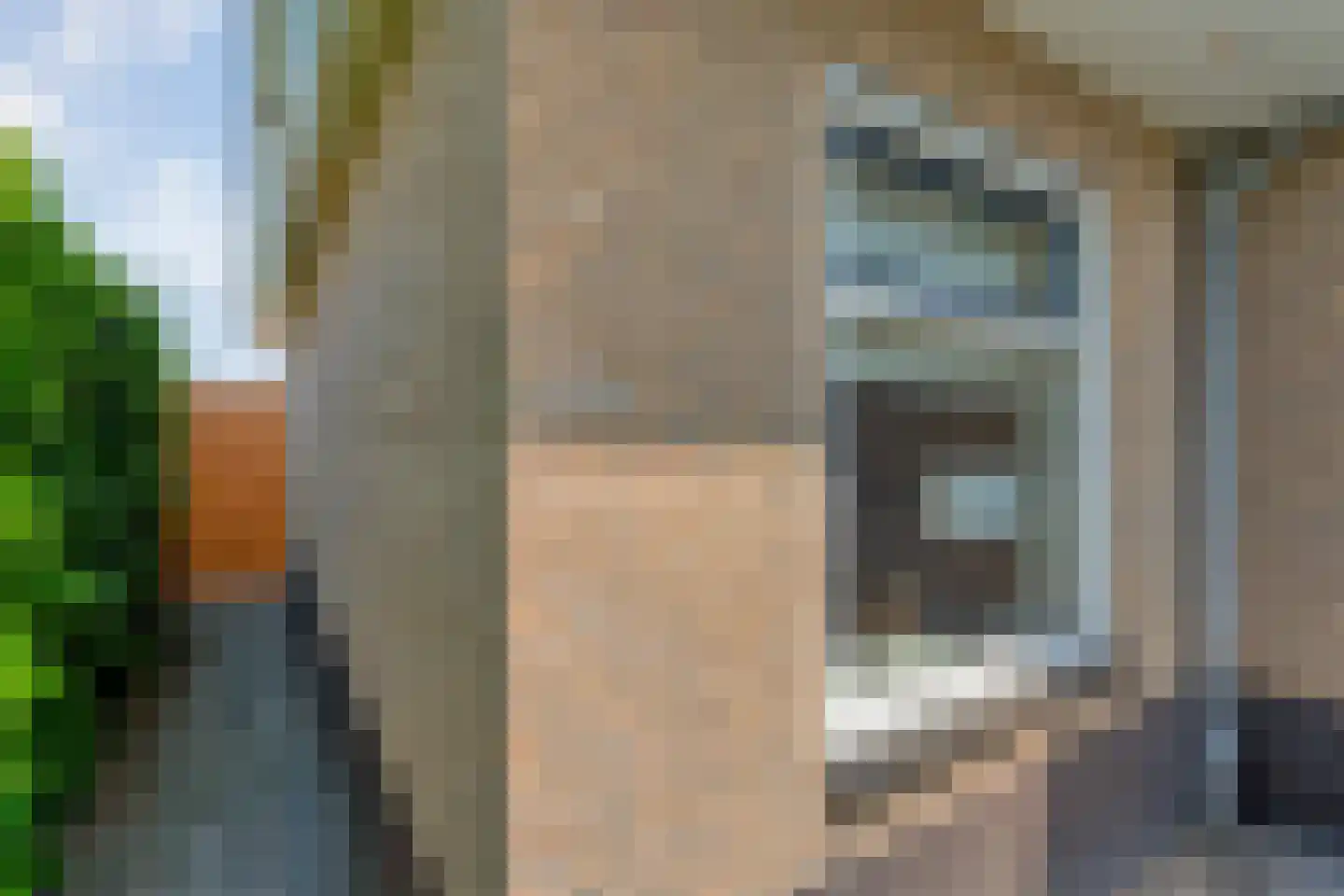 Cavaljéstraat 2 Dedemsvaart thumbnail 6