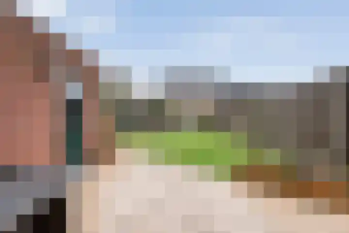 Cavaljéstraat 3 Dedemsvaart thumbnail 47