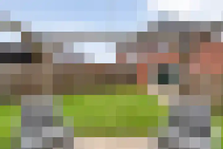 Cavaljéstraat 3 Dedemsvaart thumbnail 53