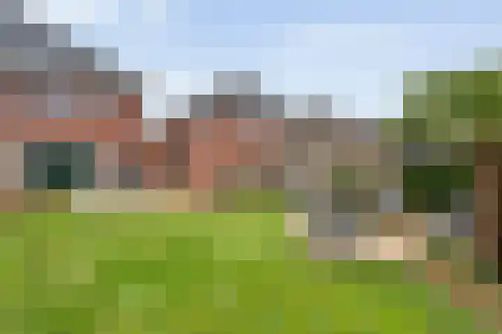 Cavaljéstraat 3 Dedemsvaart thumbnail 54