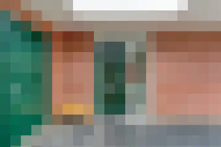Cavaljéstraat 3 Dedemsvaart thumbnail 6