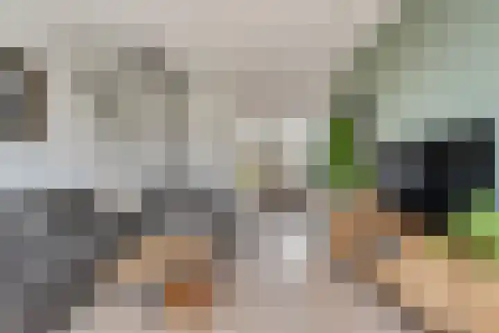 Cavaljéstraat 3 Dedemsvaart thumbnail 8