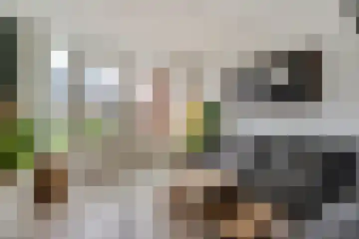 Cavaljéstraat 3 Dedemsvaart thumbnail 9