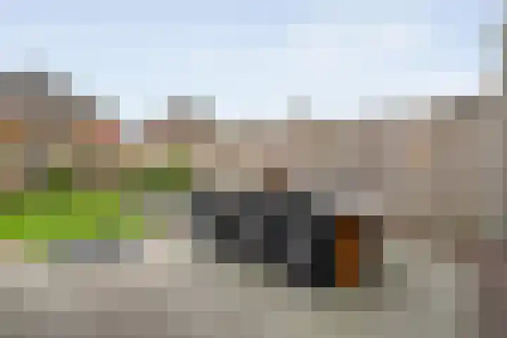 Cavaljéstraat 39 Dedemsvaart thumbnail 30