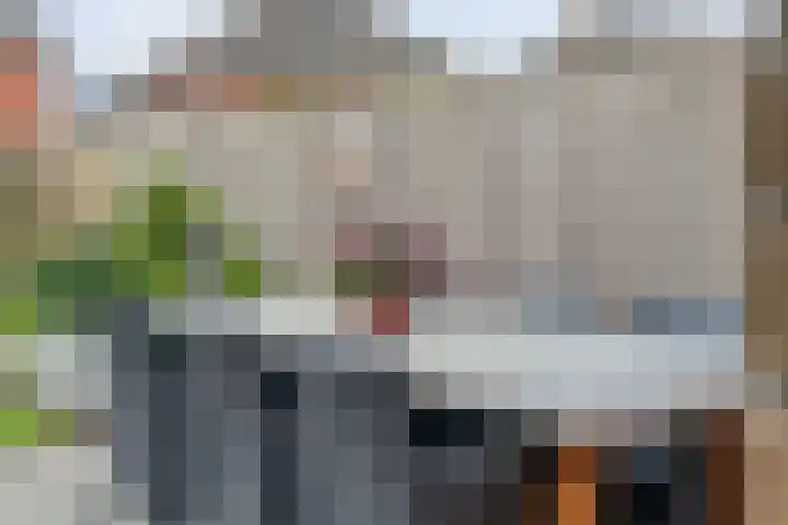 Cavaljéstraat 39 Dedemsvaart thumbnail 33