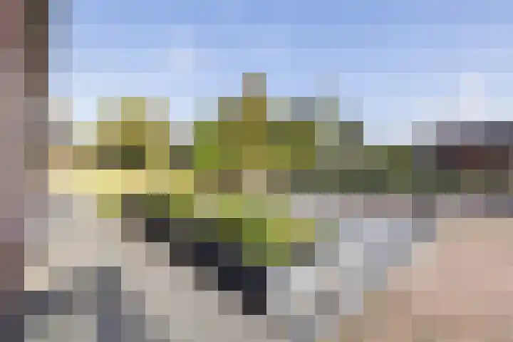 Cavaljéweg 34 Stuifzand thumbnail 44