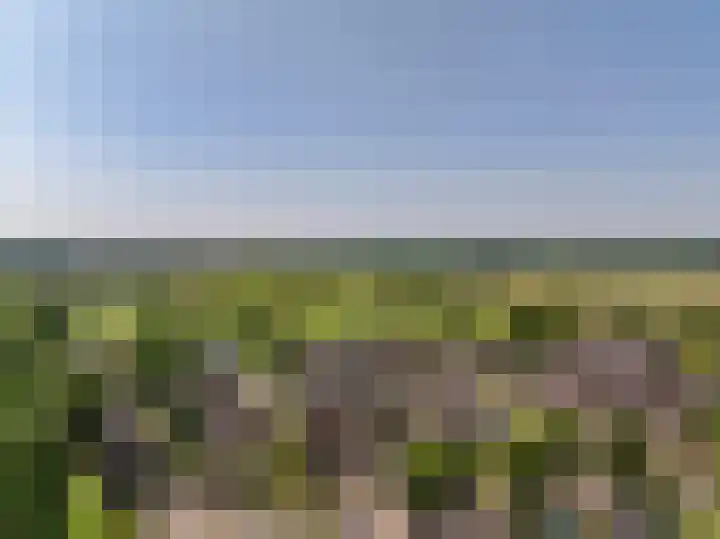 Cavaljéweg 5 Stuifzand thumbnail 55