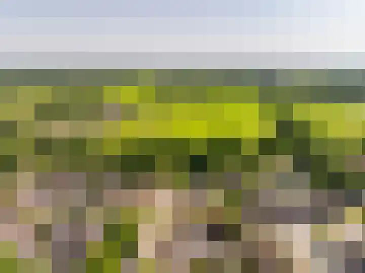 Cavaljéweg 5 Stuifzand thumbnail 56