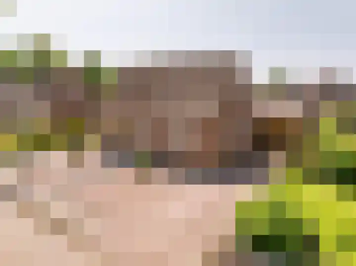 Cavaljéweg 5 Stuifzand thumbnail 6