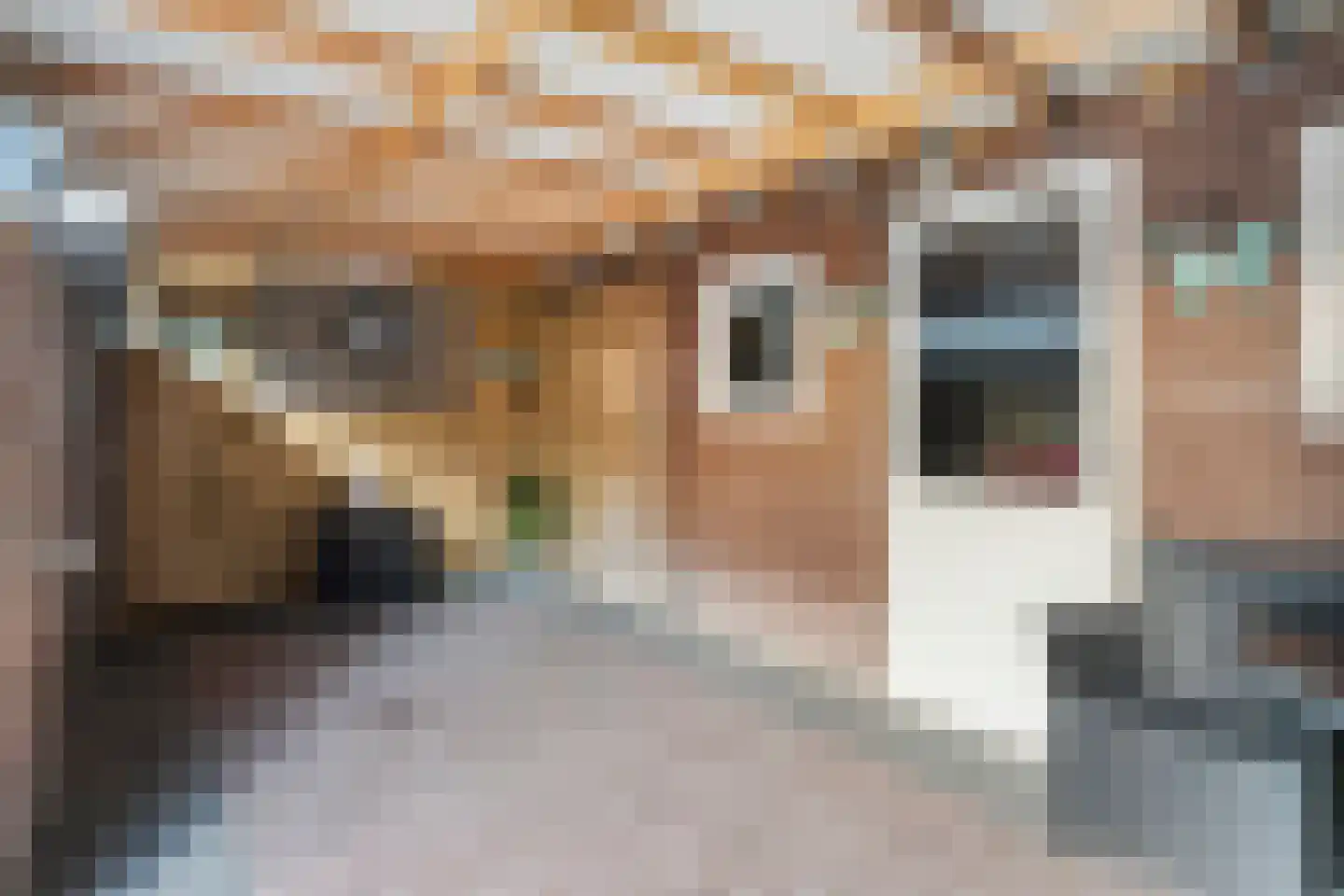 Cavaljéweg 6 Stuifzand thumbnail 38