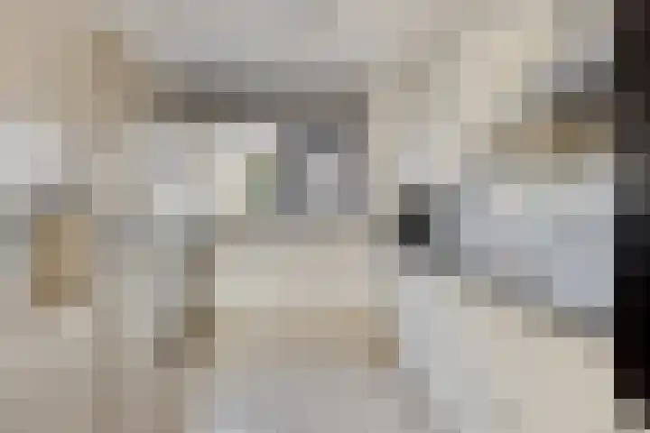 Cavansalaan 23 Veenendaal thumbnail 13