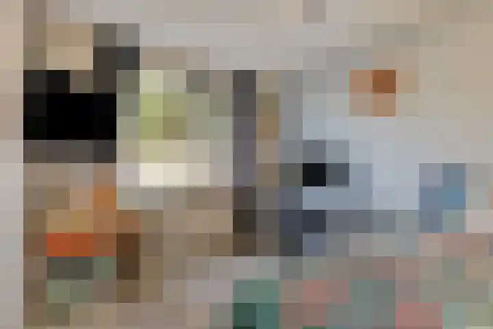 Cavansalaan 23 Veenendaal thumbnail 22