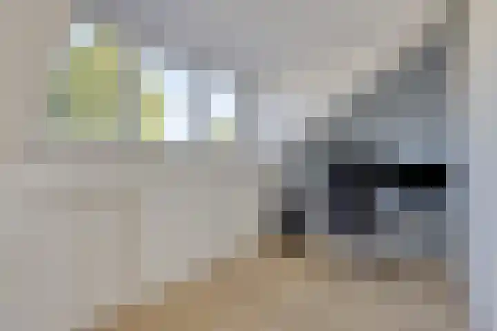 Cavansalaan 23 Veenendaal thumbnail 27