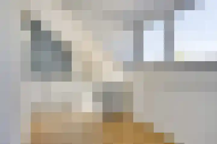 Cavansalaan 23 Veenendaal thumbnail 28