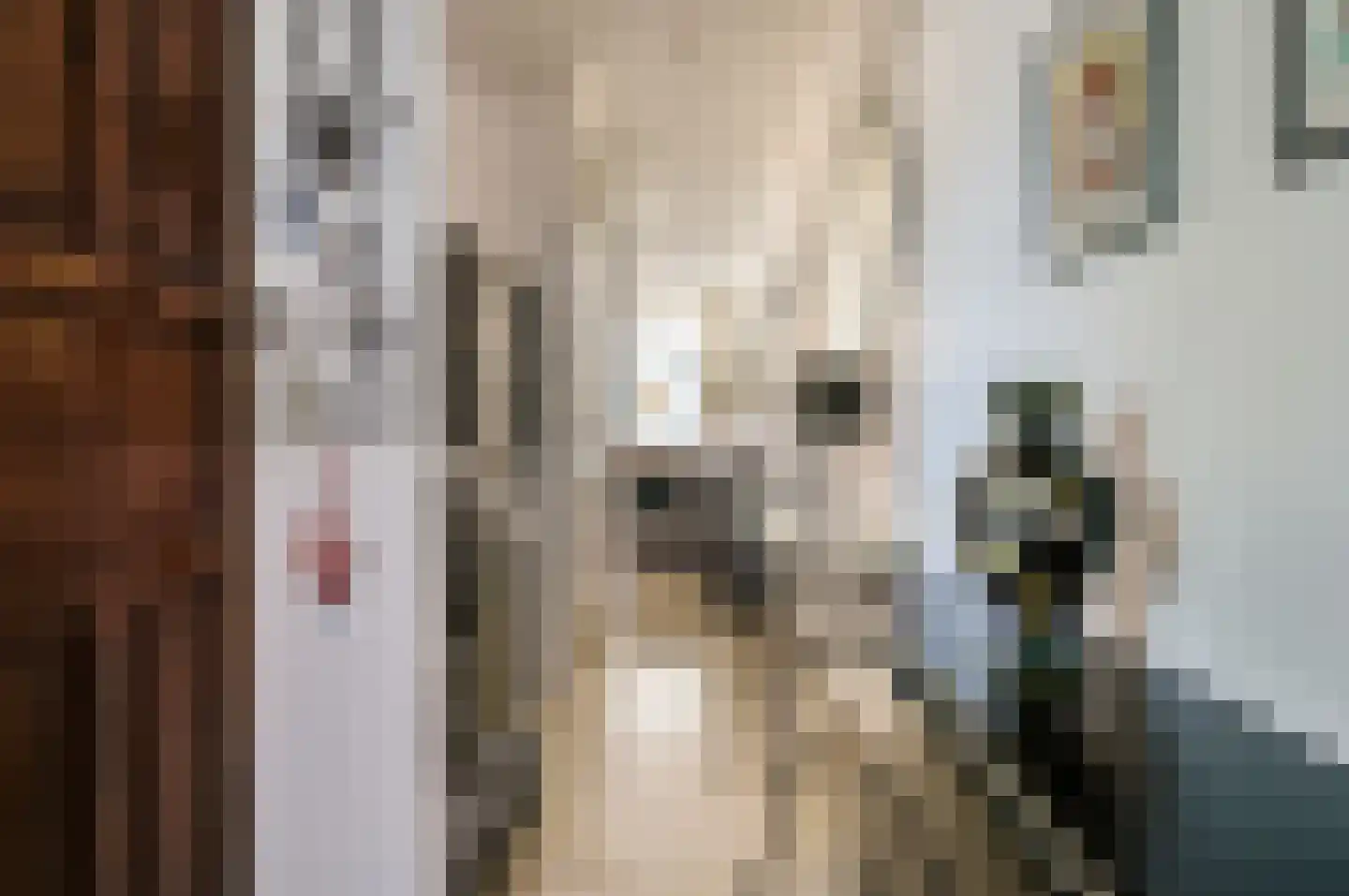 Caviastraat 12 Almere thumbnail 15
