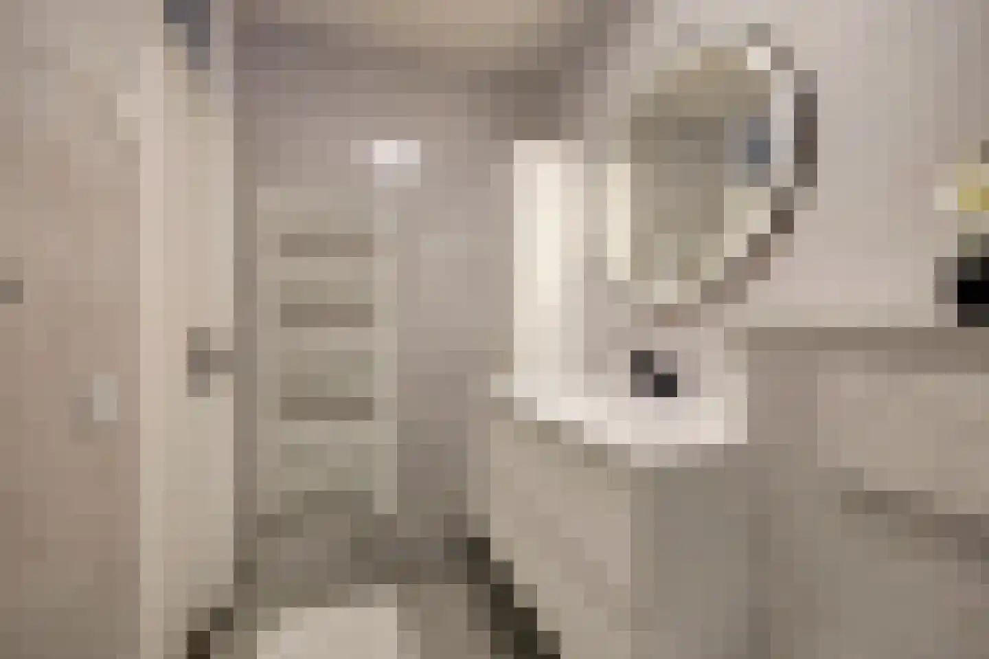 Caviastraat 8 Almere thumbnail 23