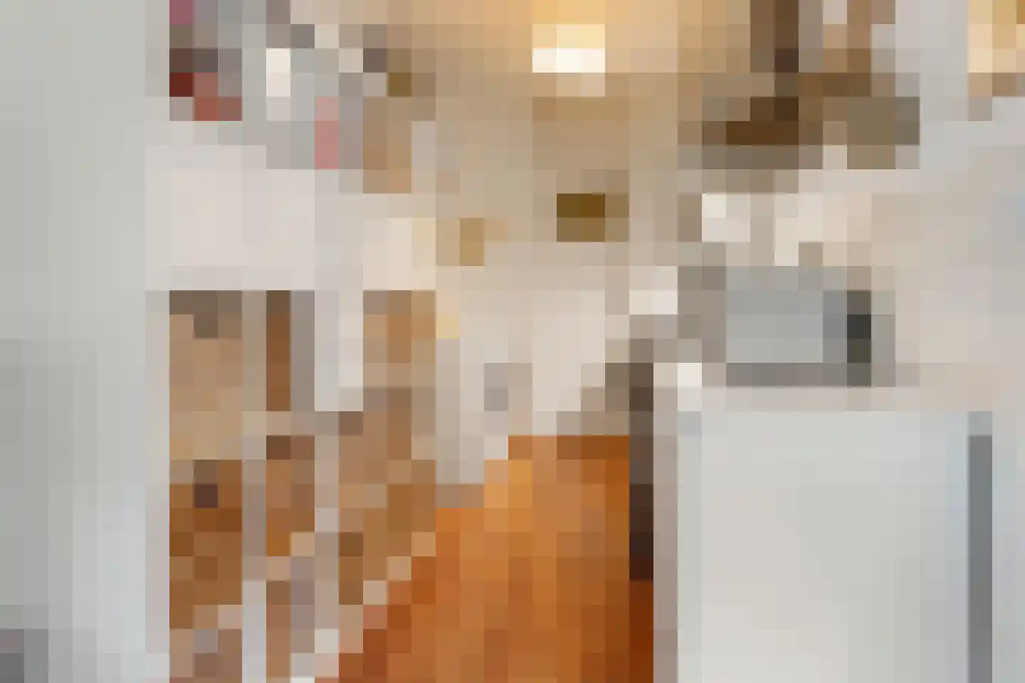 Cayennedreef 16 Utrecht thumbnail 17
